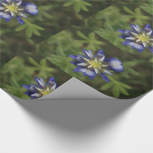 Texas Bluebonnet Wrapping Paper Cadeaupapier (Hoek)
