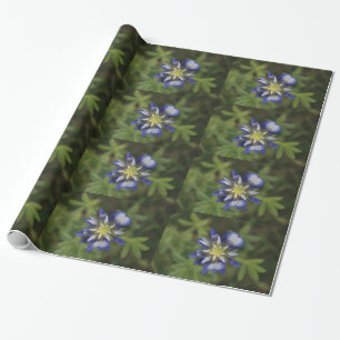 Texas Bluebonnet Wrapping Paper Cadeaupapier