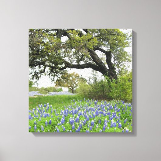 Texas Bluebonnets 16 x 16 Wrapped Canvas Afdruk (Voorkant)