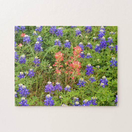 Texas Bluebonnets and Indian PaintBrusFlower Legpuzzel (Horizontaal)