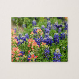 Texas Bluebonnets and Red Paintbrushes wildbloemen Legpuzzel