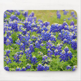 Texas Bluebonnets Art Muismat