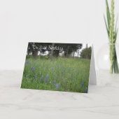 Texas Bluebonnets Birthday Card Kaart (Voorkant)