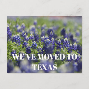 Texas Bluebonnets Bloem Wildflower Blauwe Bloem Briefkaart