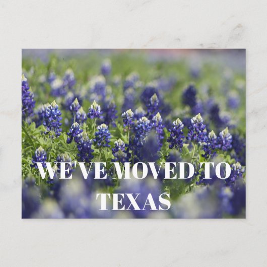 Texas Bluebonnets Bloem Wildflower Blauwe Bloem Briefkaart (Voorkant)
