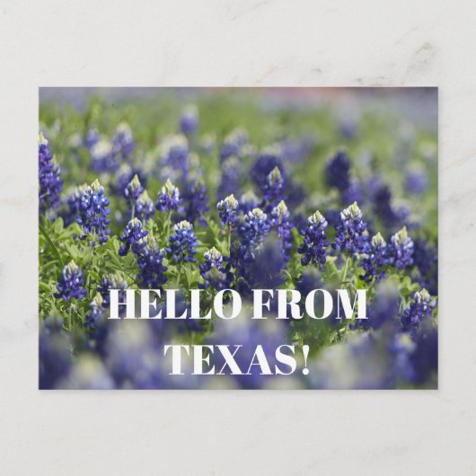 Texas Bluebonnets Bloem Wildflower Blauwe Bloem Briefkaart (Voorkant)