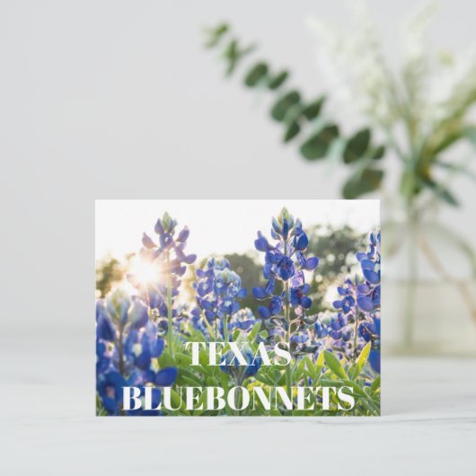 Texas Bluebonnets Bloem Wildflower Blauwe Bloem Briefkaart (Staand voorkant)