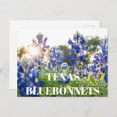 Texas Bluebonnets Bloem Wildflower Blauwe Bloem Briefkaart (Voorkant / Achterkant)