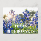 Texas Bluebonnets Bloem Wildflower Blauwe Bloem Briefkaart (Voorkant)
