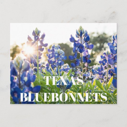 Texas Bluebonnets Bloem Wildflower Blauwe Bloem Briefkaart (Voorkant)