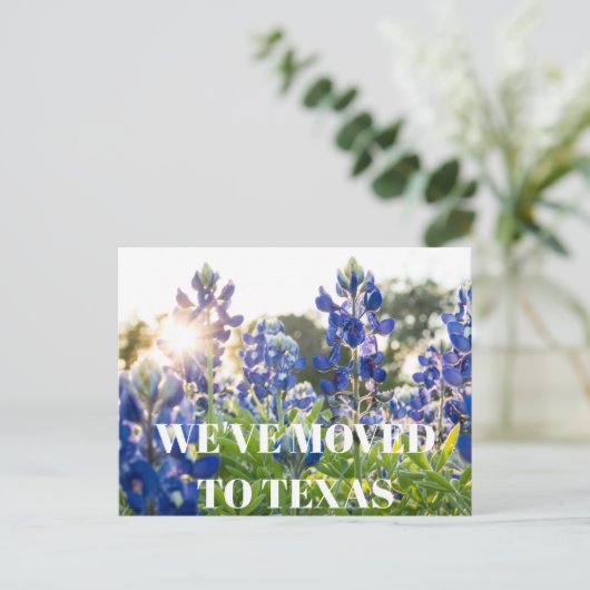 Texas Bluebonnets Bloem Wildflower Blauwe Bloem Briefkaart (Staand voorkant)