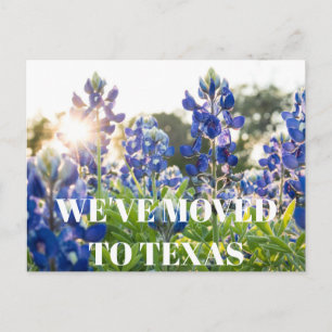 Texas Bluebonnets Bloem Wildflower Blauwe Bloem Briefkaart