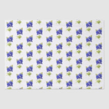 Texas Bluebonnets Bloemen,