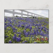 Texas Bluebonnets Briefkaart (Voorkant)
