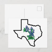 Texas Bluebonnets Briefkaart (Voorkant / Achterkant)