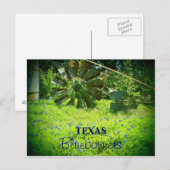 Texas bluebonnets briefkaart (Voorkant / Achterkant)