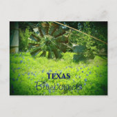 Texas bluebonnets briefkaart (Voorkant)