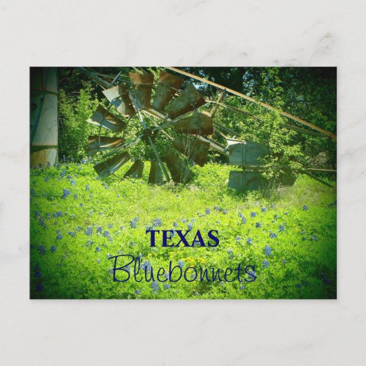 Texas bluebonnets briefkaart (Voorkant)
