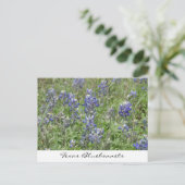 Texas Bluebonnets Briefkaart (Staand voorkant)