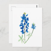 Texas Bluebonnets Briefkaart (Voorkant / Achterkant)