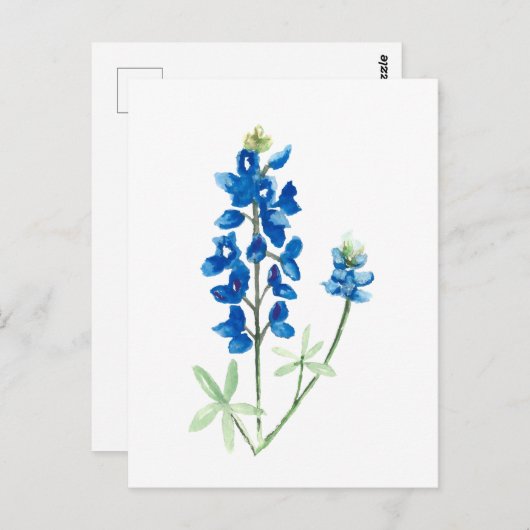 Texas Bluebonnets Briefkaart (Voorkant / Achterkant)