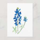 Texas Bluebonnets Briefkaart (Voorkant)