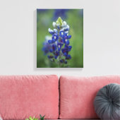 Texas Bluebonnets Canvas Afdruk (Insitu (Woonkamer))