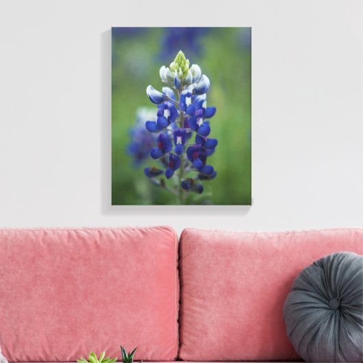 Texas Bluebonnets Canvas Afdruk (Insitu (Woonkamer))