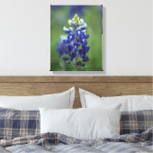 Texas Bluebonnets Canvas Afdruk (Insitu (Slaapkamer))