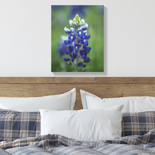 Texas Bluebonnets Canvas Afdruk (Insitu (Slaapkamer))