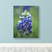 Texas Bluebonnets Canvas Afdruk (Insitu (Houten vloer))