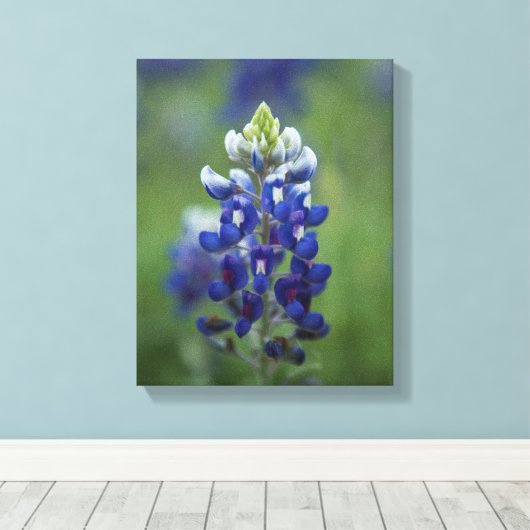 Texas Bluebonnets Canvas Afdruk (Insitu (Houten vloer))