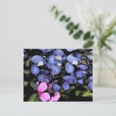 Texas Bluebonnets Closeup Briefkaart (Staand voorkant)