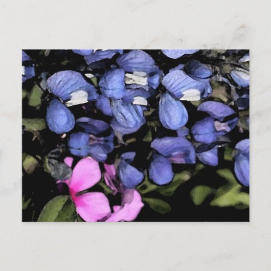 Texas Bluebonnets Closeup Briefkaart (Voorkant)