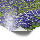 Texas Bluebonnets Country Photographic Art Print Foto Afdruk (Hoek)