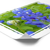 Texas Bluebonnets Digital Waterverf Poster (Hoek)