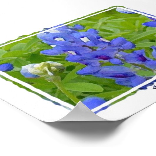 Texas Bluebonnets Digital Waterverf Poster (Hoek)
