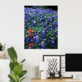 Texas Bluebonnets en Indian PaintBruse Poster (Thuiskantoor)