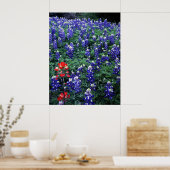 Texas Bluebonnets en Indian PaintBruse Poster (Keuken)