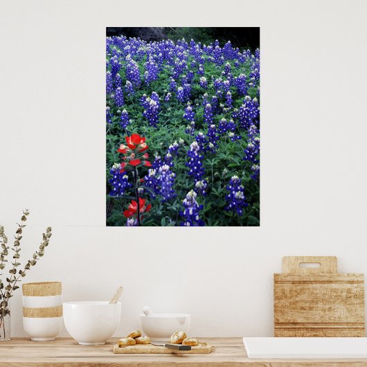 Texas Bluebonnets en Indian PaintBruse Poster (Keuken)