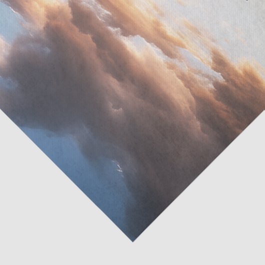 Texas Bluebonnets en Old Barn Decoupage Tissuepapier (Detail)