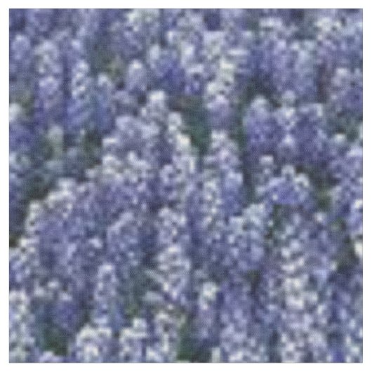 Texas Bluebonnets Fabric Stof (Close Up)