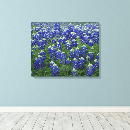 Texas Bluebonnets Field 2 Uitgerekte Canvas Print (Insitu (Houten vloer))