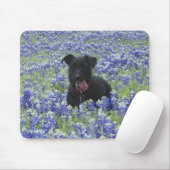 Texas Bluebonnets Field Cute Puppy Dog Foto Muismat (Met muis)