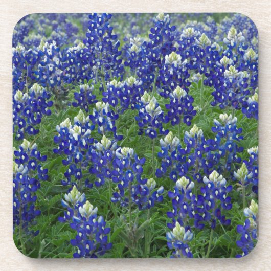 Texas Bluebonnets Field Foto Drankjes Onderzetter (Voorkant)