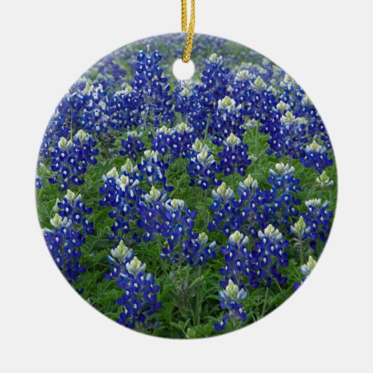 Texas Bluebonnets Field Foto Keramisch Ornament (Voorkant)