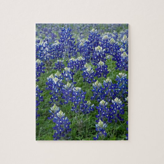 Texas Bluebonnets Field Foto Legpuzzel (Verticaal)