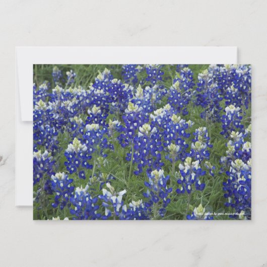 Texas Bluebonnets Field Photo Afstuderen Kaart (Achterkant)