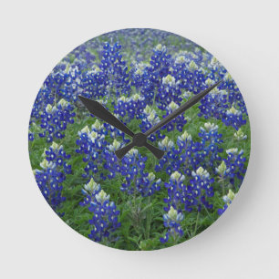 Texas Bluebonnets Field Photo Ronde Klok