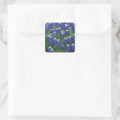 Texas Bluebonnets Field Photo Vierkante Sticker (Tas)